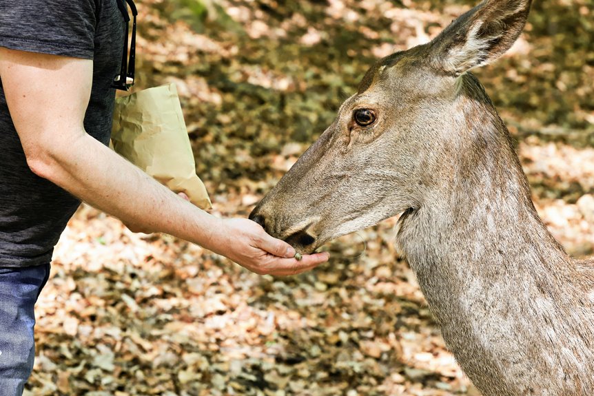 three best backyard deer foods